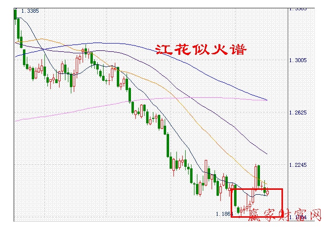 江花似火