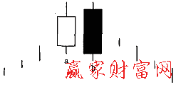 陰包陽(yáng)形態(tài)