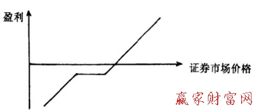 圖1 垂直看漲買(mǎi)賣(mài)權(quán).jpg