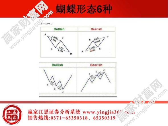 蝴蝶形態(tài)的6種形態(tài)