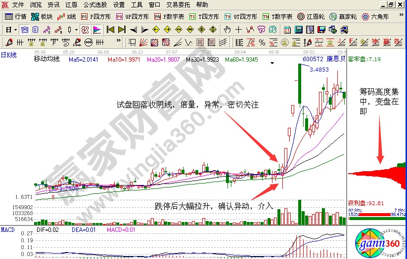 江恩軟件解析籌碼分布