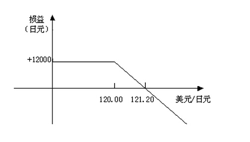 期權(quán)型外匯投資