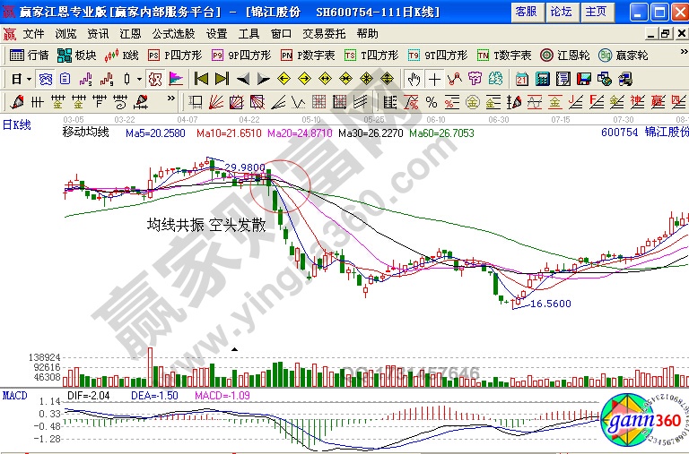 錦江投資