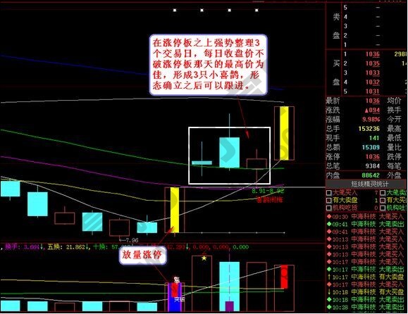 喜鵲鬧梅形態(tài)