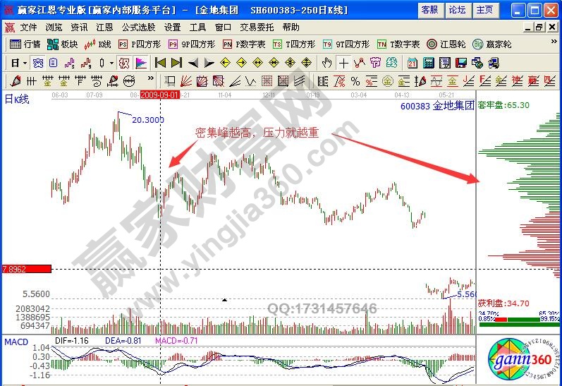 金地集團(tuán)600383籌碼分布實(shí)戰(zhàn)