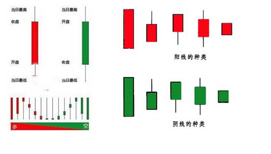  陰線和陽線圖解