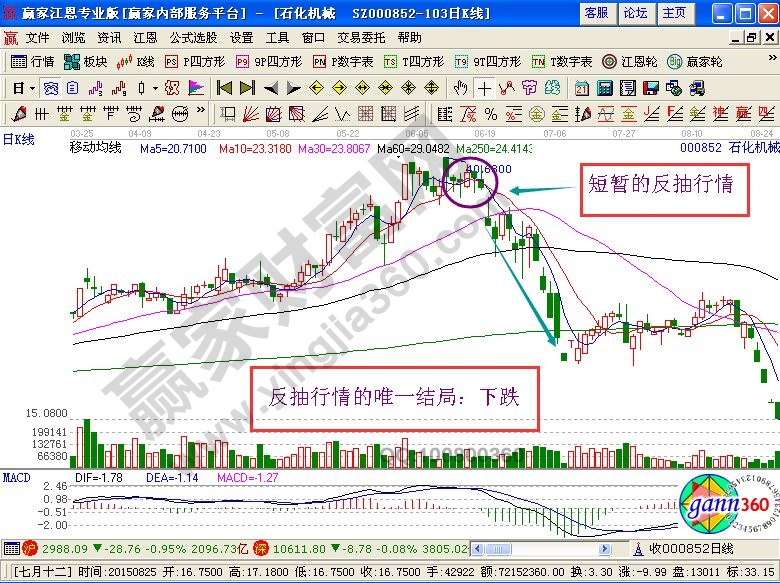 反抽行情的三個唯一