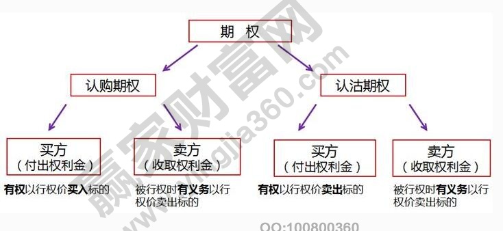 期權(quán).jpg