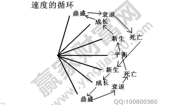 速率分形圖