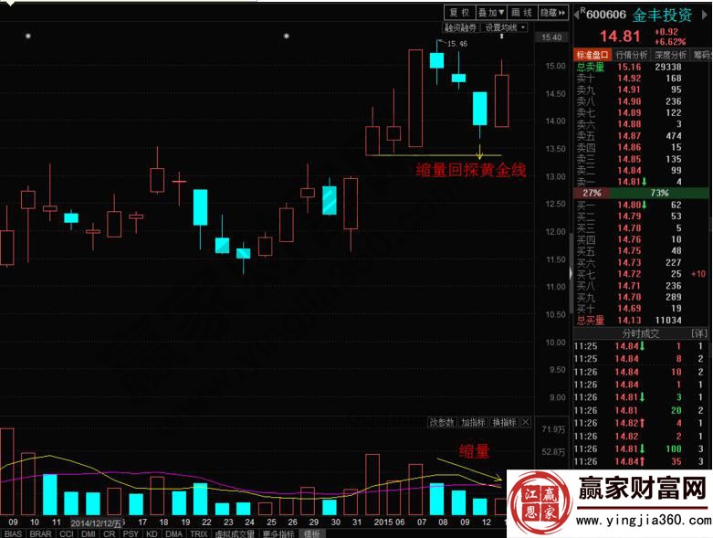 金豐投資600606