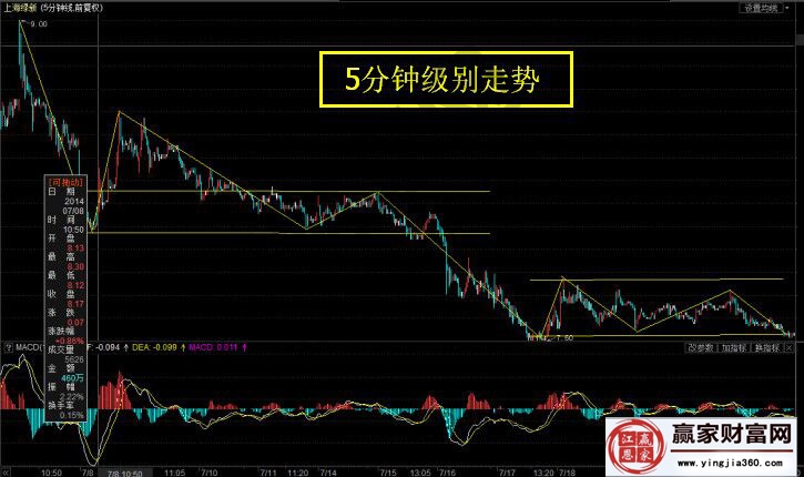 上海綠新的5分鐘走勢圖