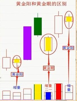 黃金陽(yáng)和黃金眼的區(qū)別.jpg