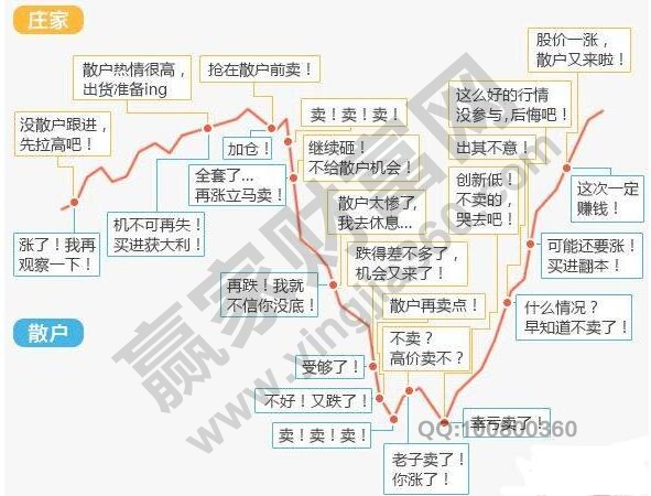 新手炒股為什么會虧錢